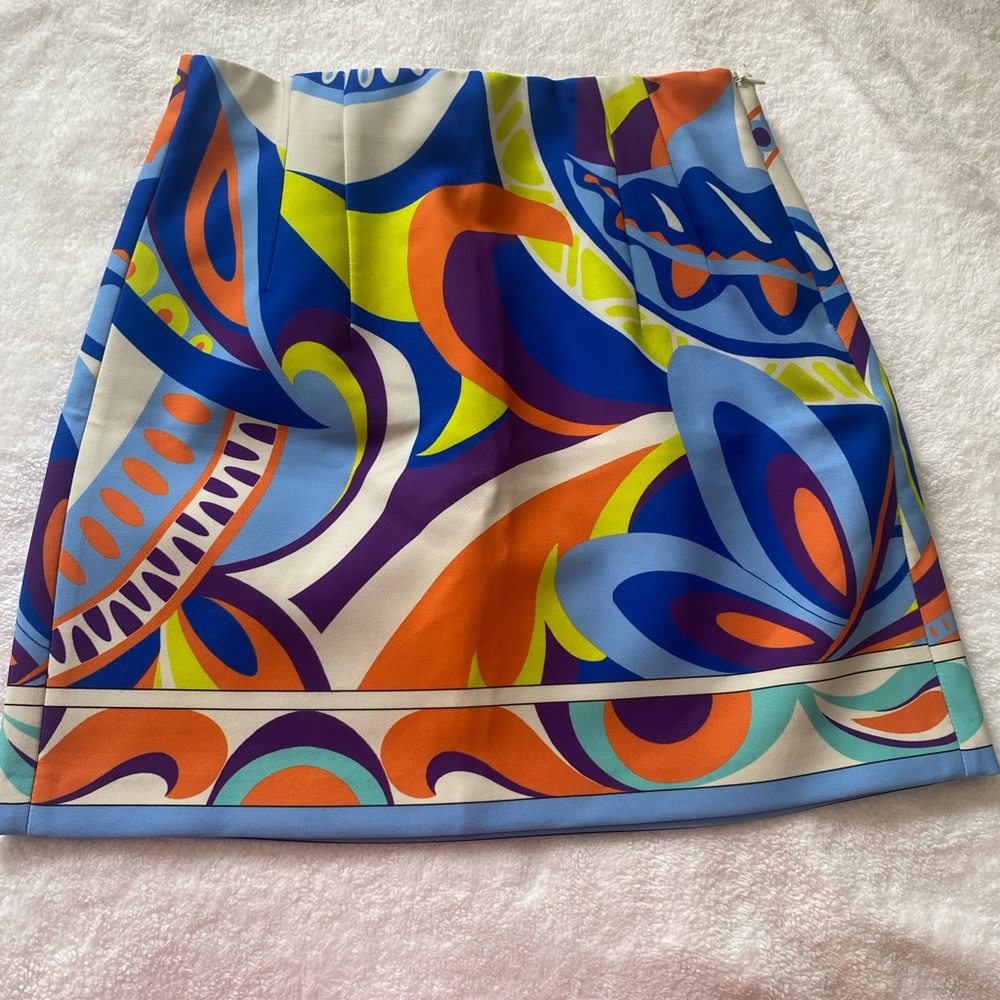 Zara Multicolor Skirt
